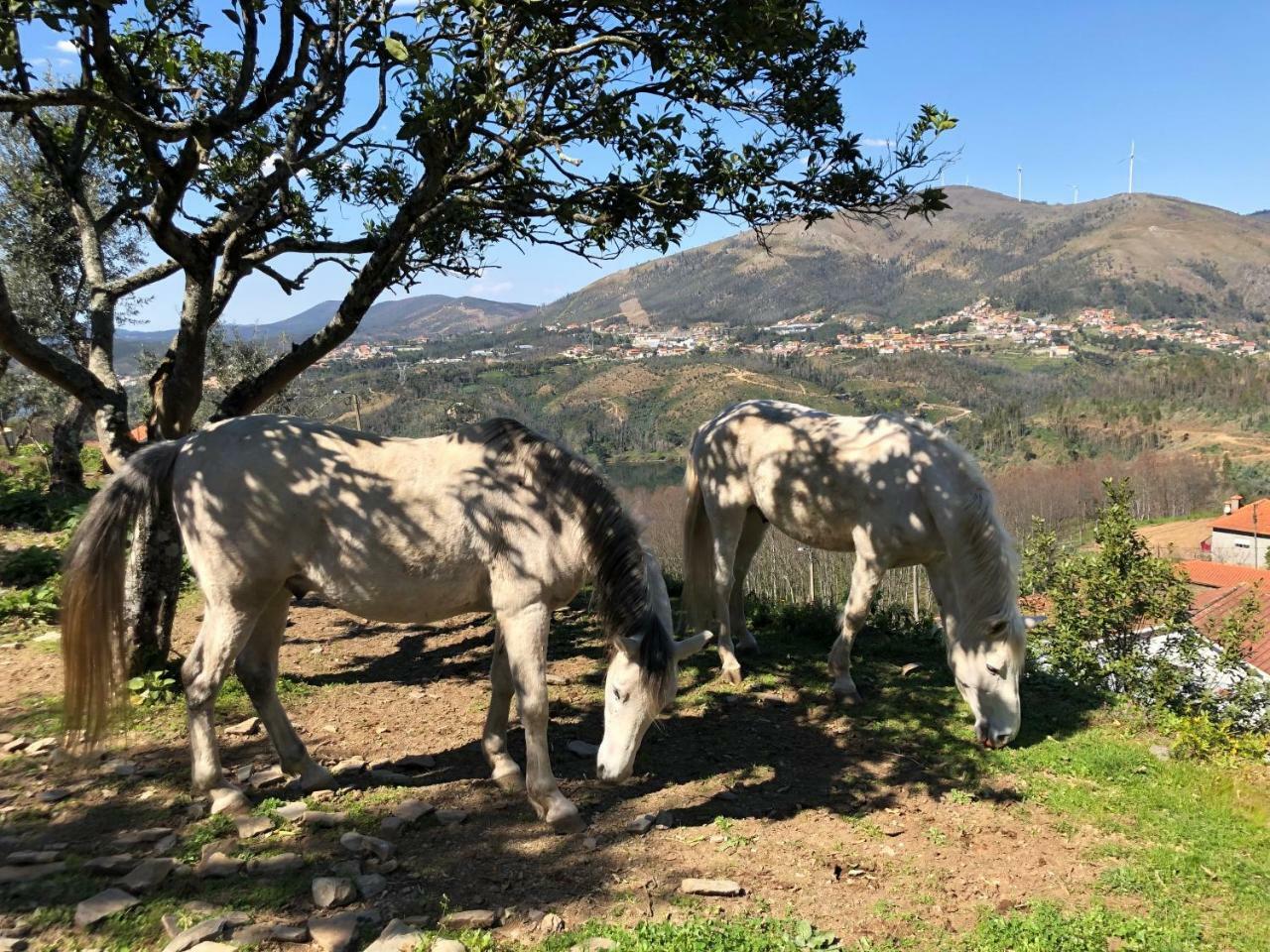 Arrabia Guest Houses Glamping Raiva Exterior foto